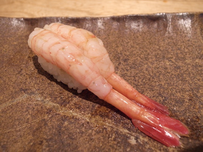 日本海的甜蝦