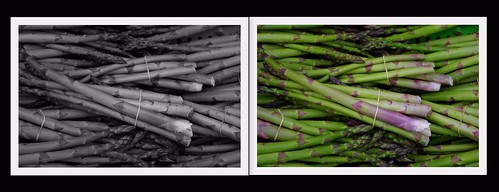 amazing asparagus by vogon M