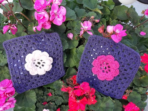 Luna's Flower Squares. Thank you for the beautiful Squares Hieke!