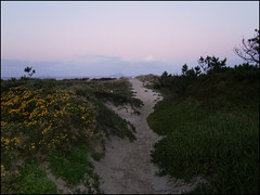 Path to Bream Bay beach