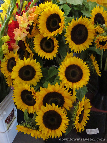 Sunflowers at Jean Talon market in Montreal