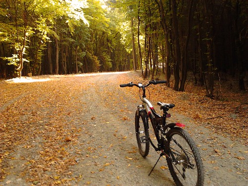 Biking! (FlickrMassageOct2011) Autumn