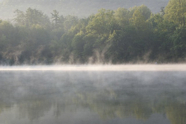 Misty Lake