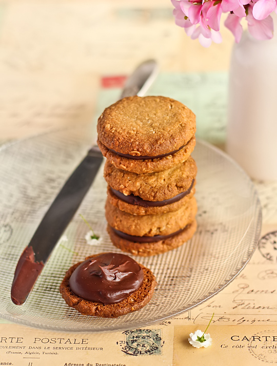 oat_coconut_choc_biscuits-3