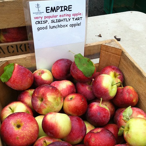 empire apples black rock orchard