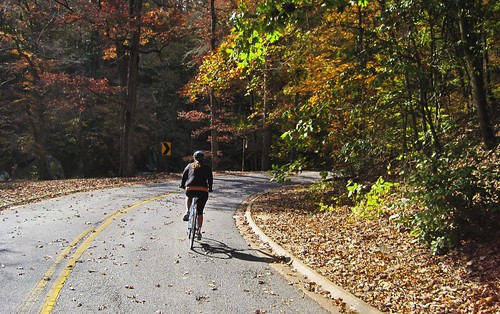 cycling in Rock Creek Park (by: Rebecca Schley, creative commons license)