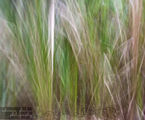 spring abstract_6