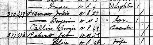 Hawver Julia 1880 Census Watsonville, CA