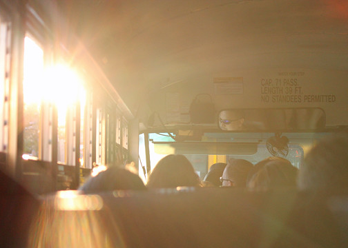 web sun in bus