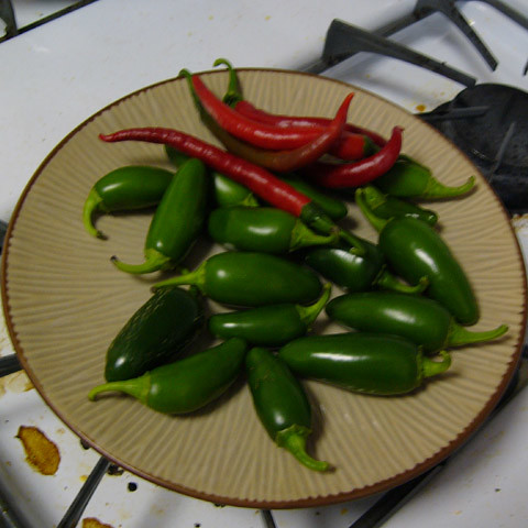 060913_peppers