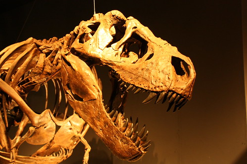 恐竜博2011＠国立科学博物館
