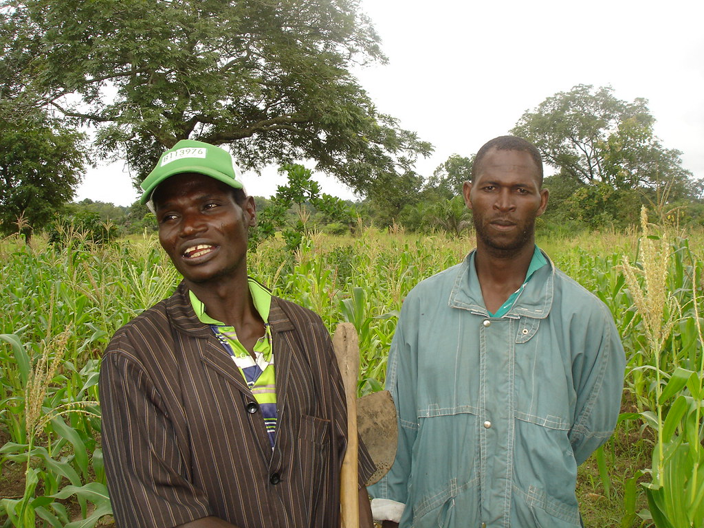 Deux paysans devant un champ école Togo