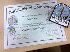 One down, two to go - the certificate I earned in June!