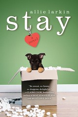 paper-stay-cover-large
