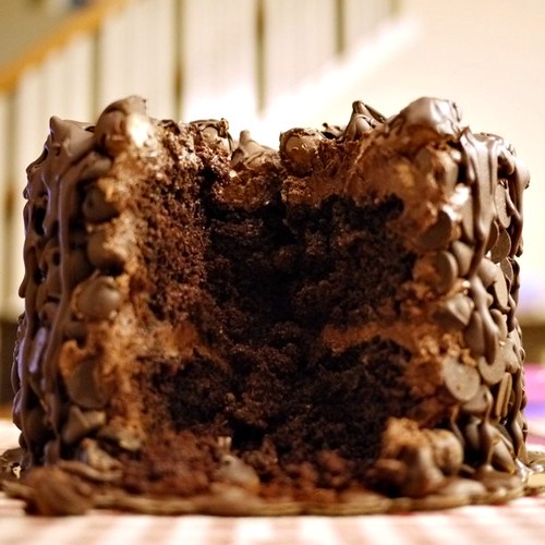 chocolate wasted cake cross section