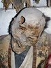 Jedediah Gainer, Laughing Priest, Digital Colour Photograph, The Capuchin Catacombs of Palermo