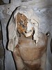 Jedediah Gainer, Suffering Monk, Digital Colour Photograph, The Capuchin Catacombs of Palermo