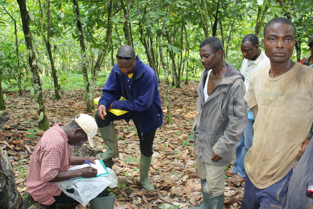 Inspection interne cacao bio Togo 2