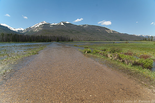 Colorado River Overflow, 2011