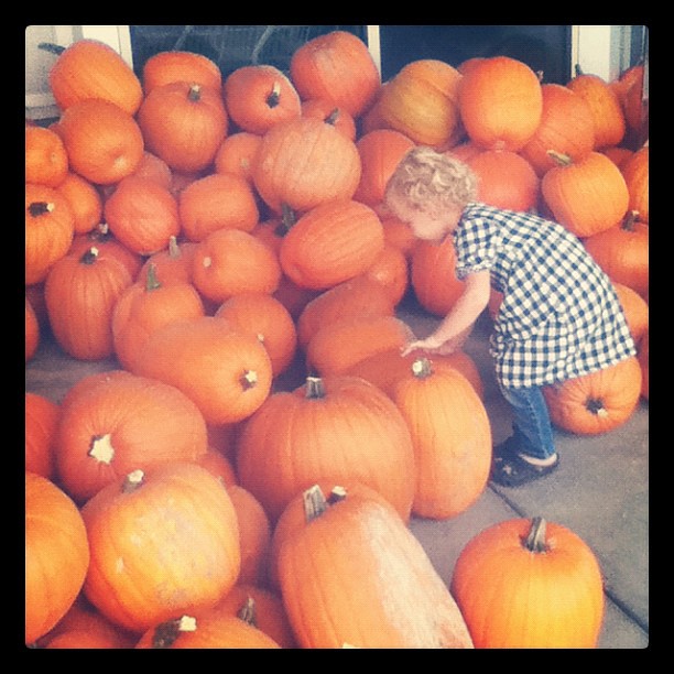 She kept yelling, "Pumpkins! I'm so excited!"