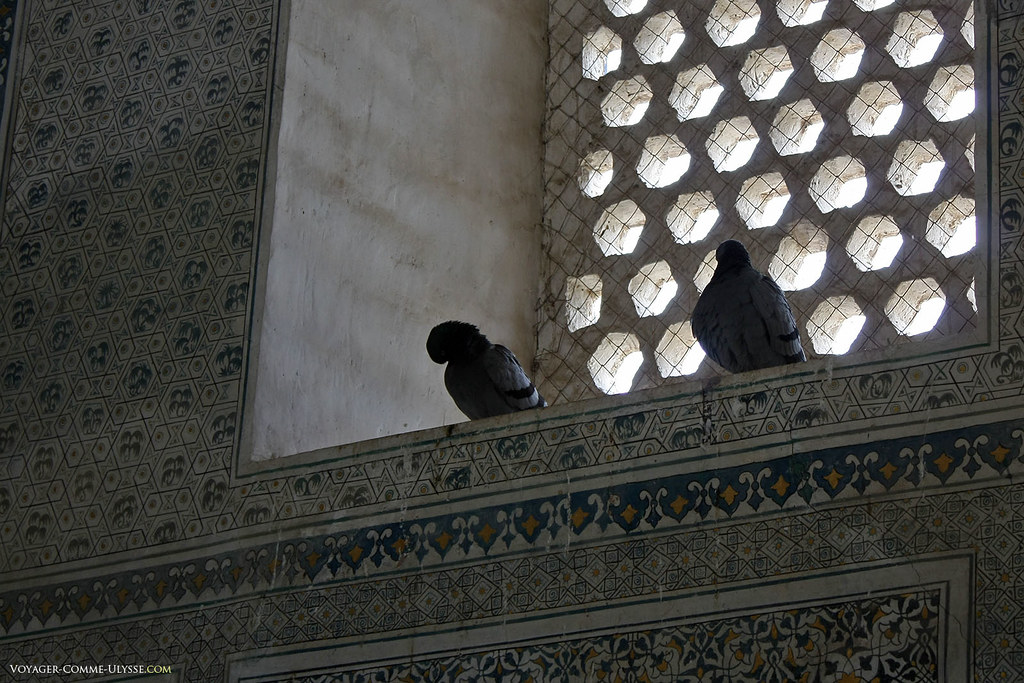 Os pombos ficam de guarda ao mausoléu.