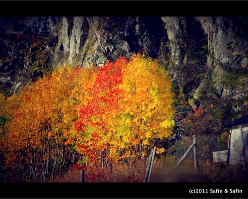 Autumn by Ed Safin