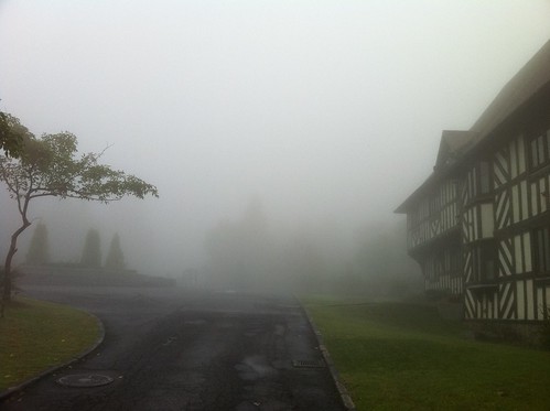 Foggy morning in British Hills