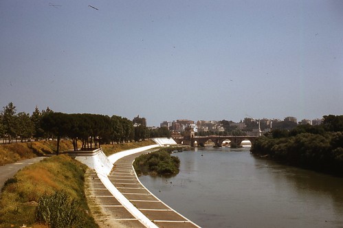 Roman Bridge & Tiber River