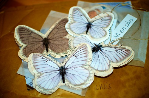Paper Butterflies: A Collection