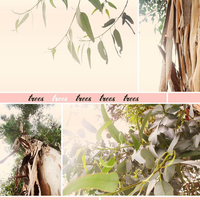 {september} trees | collage