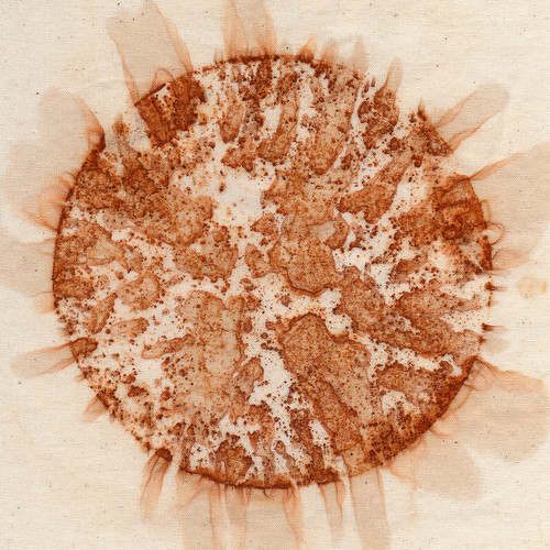 sunspots #1 - rust print  by Sharon Pazner