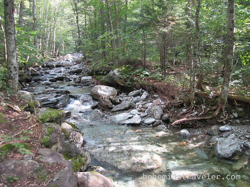 Breadloaf Wilderness stream