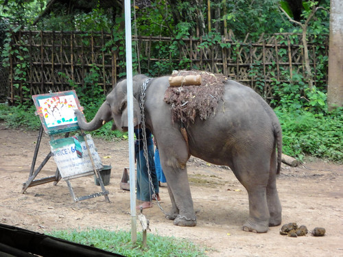 Thailand elephant painting 1