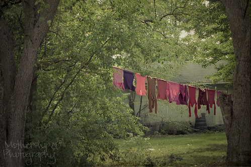 277:365 Red laundry day