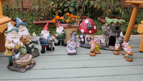 Garden Gnome meeting