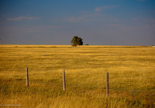 Rural Alberta, Canada