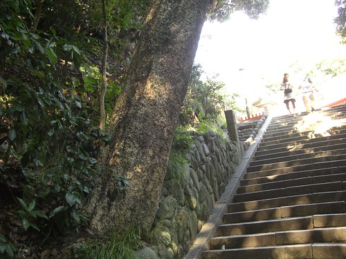 Kamakura snap 23 September 19