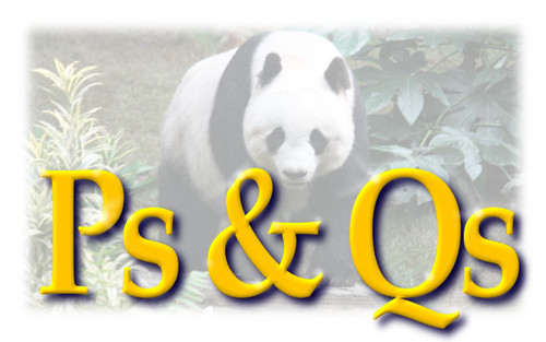 Mind your Ps & Qs to Avoid the Panda Updates