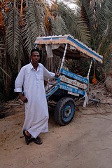 Donkey Cart Driver, Siwa Oasis, Egypt