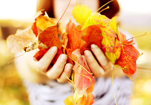 As the first leaves change their colors for autumn's big show, we welcome the cool crispness in the air. by *autumnlove
