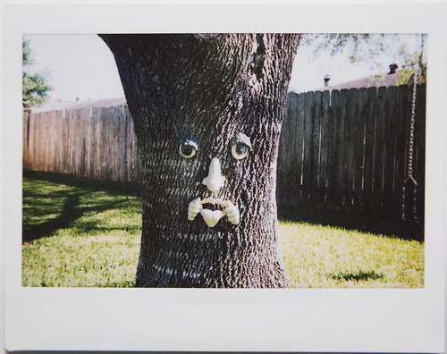 Instax: freaky tree face