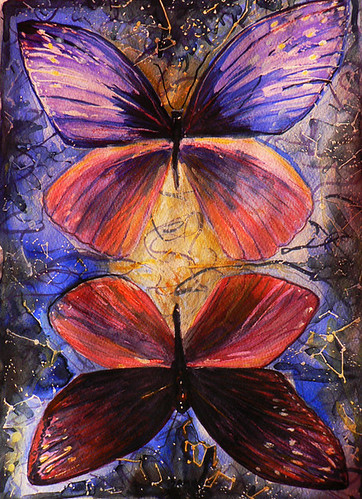 butterfly  by samwyn