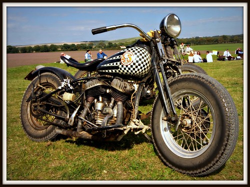 Harley Davidson by Welsh Harlequin