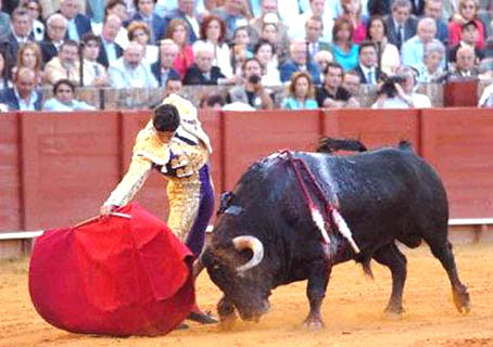      corrida de toros en la plaza monumental de barcelona        