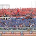 Calcio, Catania: la carica dei 2000
