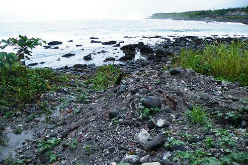 開發單位將沉沙池廢棄土方直接堆積在潮間帶 宋明燕攝