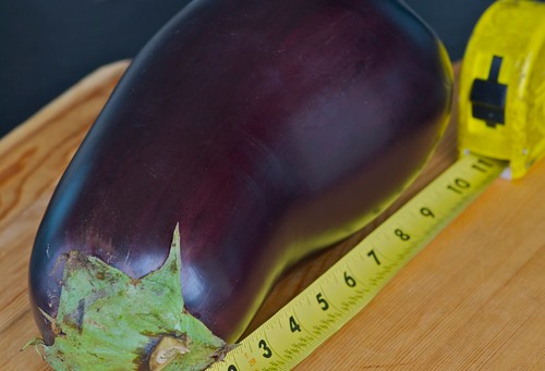 giant eggplant