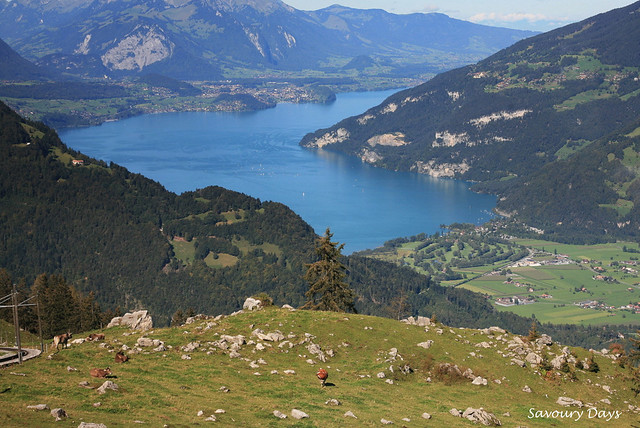 Bernese Oberland - Switzerland