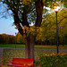A bench in Frognerparken