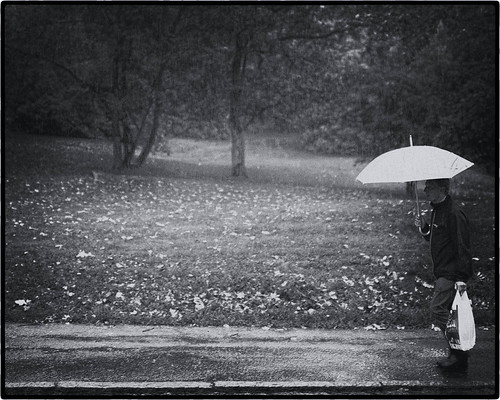 September 26 - Rainy Day by kejsardavid